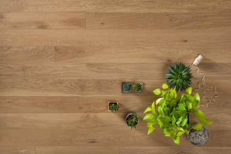 Coswick Дуб Сиена рустикальная 19,05 мм T&G Паркетная доска 1154-3809-20