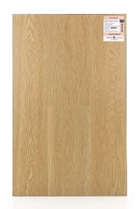 FirstFloor Дуб Этерния 1F307