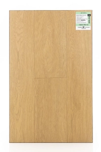 FirstFloor Дуб Гравитас 1F321